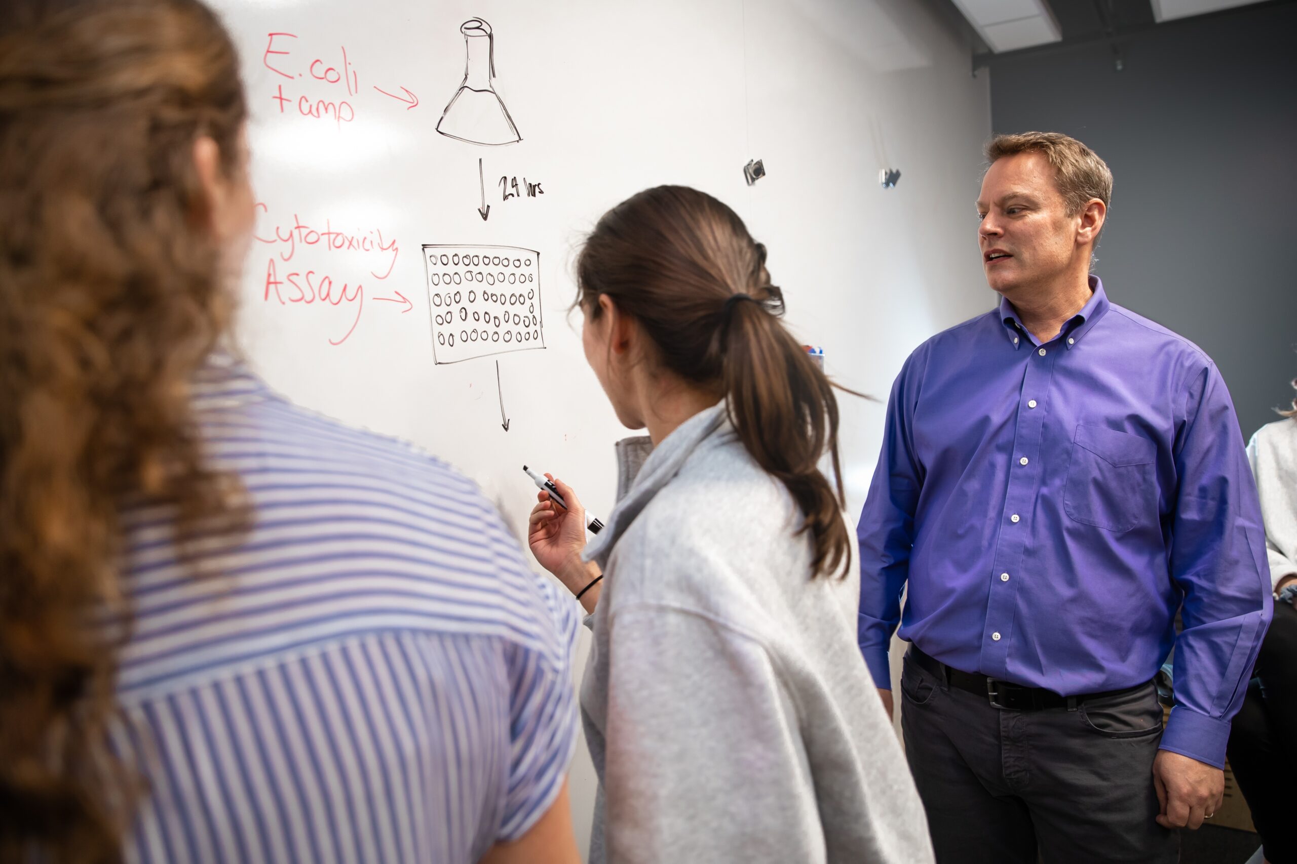 KenKeiler_group work_0 Ken Keiler, professor of biochemistry and molecular Biology, oversees students participating in group work in a class of biochemistry and molecular biology students